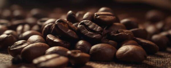 Arabica